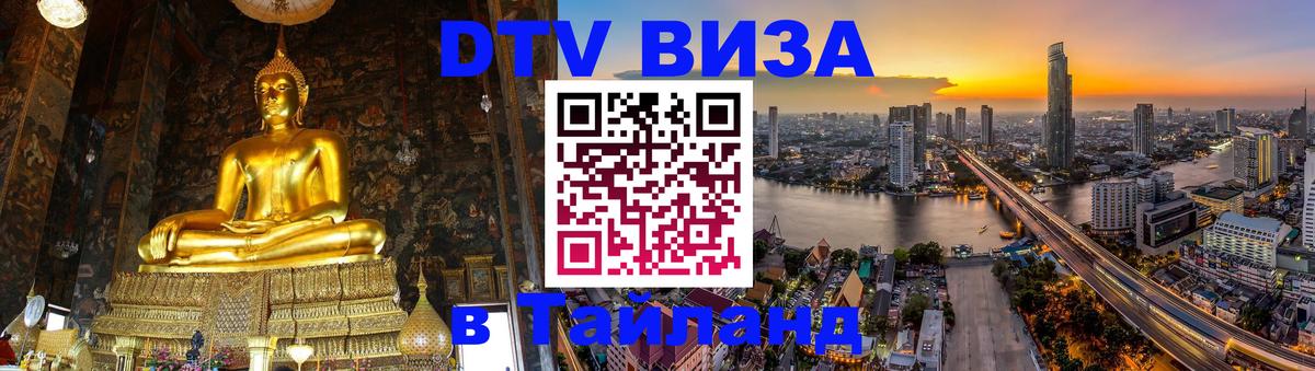 Оформление DTV визы под ключ: стоимость и тарифы, только загранпаспорт - 19.11.2025 